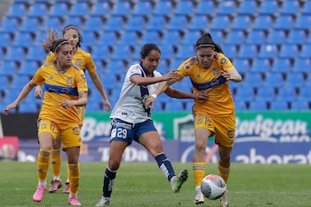 Con el césped en proceso