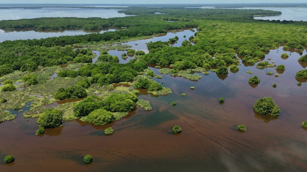 Parques Nacionales solicitó rigor técnico en la discusión ambiental en Colombia tras resultados presentados en el empalme ministerial