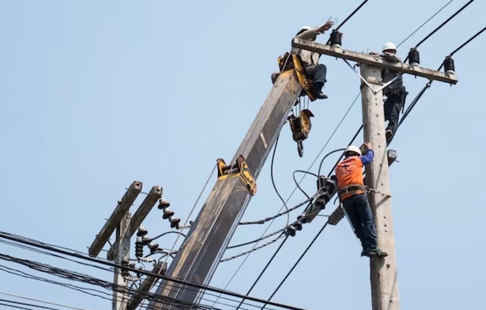 La grulla blanca consolida su regreso en Texas, pero la conservación enfrenta nuevos desafíos