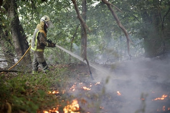 Imagen YR5ARO2GENBMLCLEPF2KT5OKUM