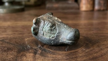 Hallazgos similares en Creta y