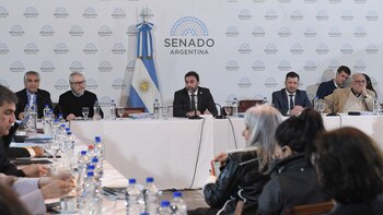 Reunión plenaria de las comisiones