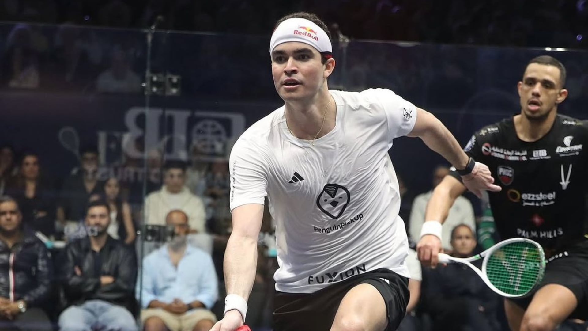 Diego Elías venció al número uno Mostafa Asal y alcanzó la final de El Gouna International Open 2026. Crédito: PSA