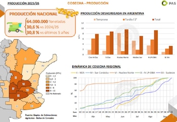 Maíz: producción récord en la campaña agrícola 2025/26
