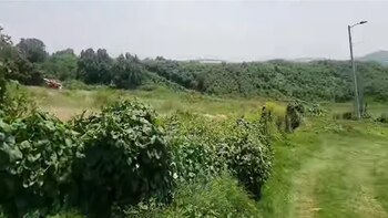 Predio de C. Izcalli en