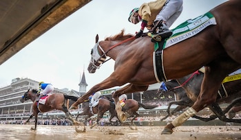 El entrenamiento personalizado de los caballos equilibra resistencia, velocidad y agilidad, alternando esfuerzos con períodos de descanso controlados (Michael Clevenger and O'Neil Arnold/USA TODAY NETWORK via Imagn Images)