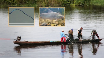 La mayor cantidad de microplásticos