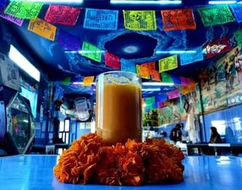 El costo del libro del