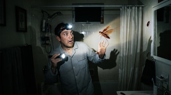 Hombre con pijama, linterna de mano y linterna frontal en un baño a oscuras frente a una cucaracha en el aire y otra en la pared.
