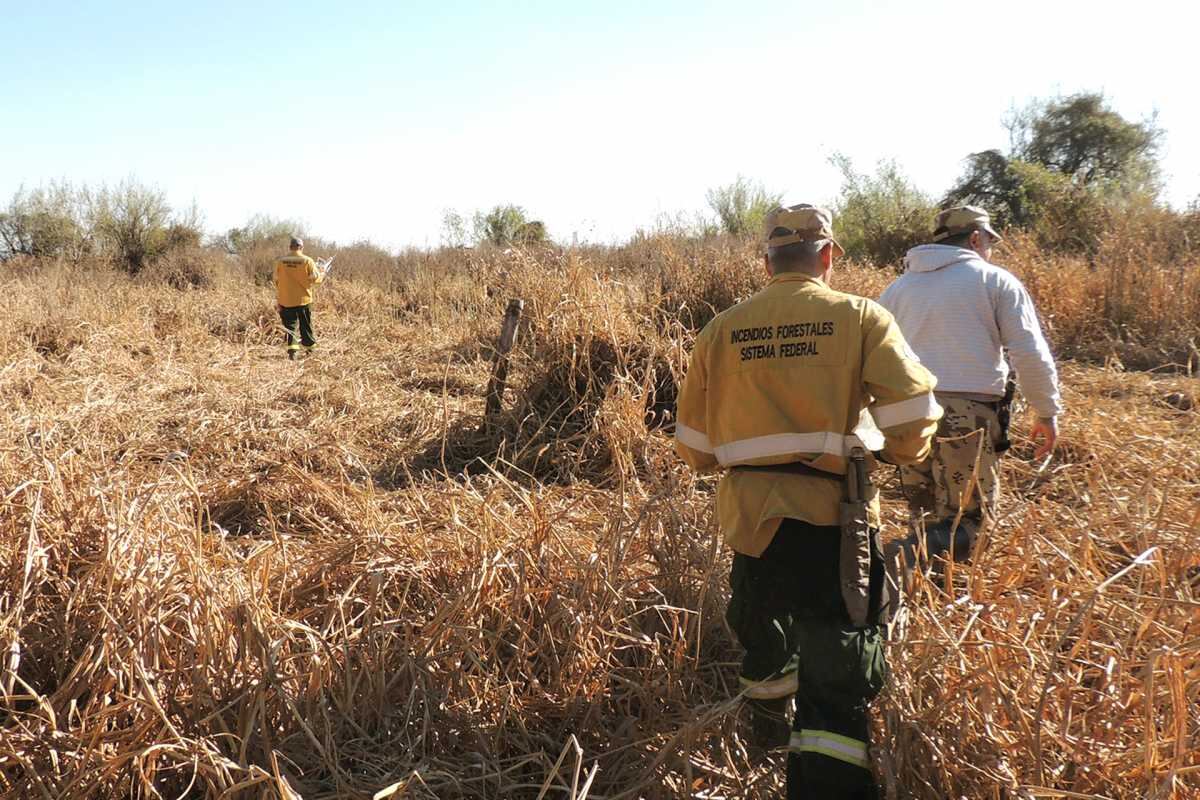 En Gualeguaychú la quema está prohibida los doce meses del año según la disposición municipal