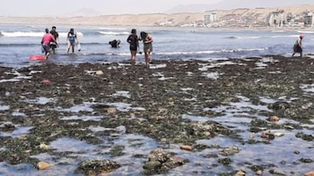 Mar se retiró más de