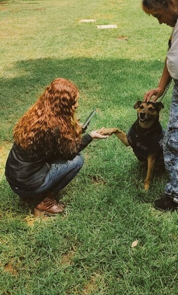 Cadete será dado en adopción