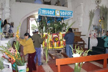 Conoce en qué ocasiones se