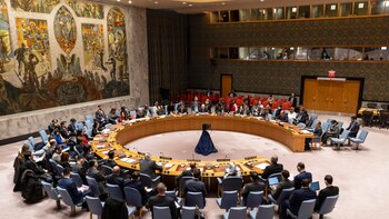 El Consejo de Seguridad de