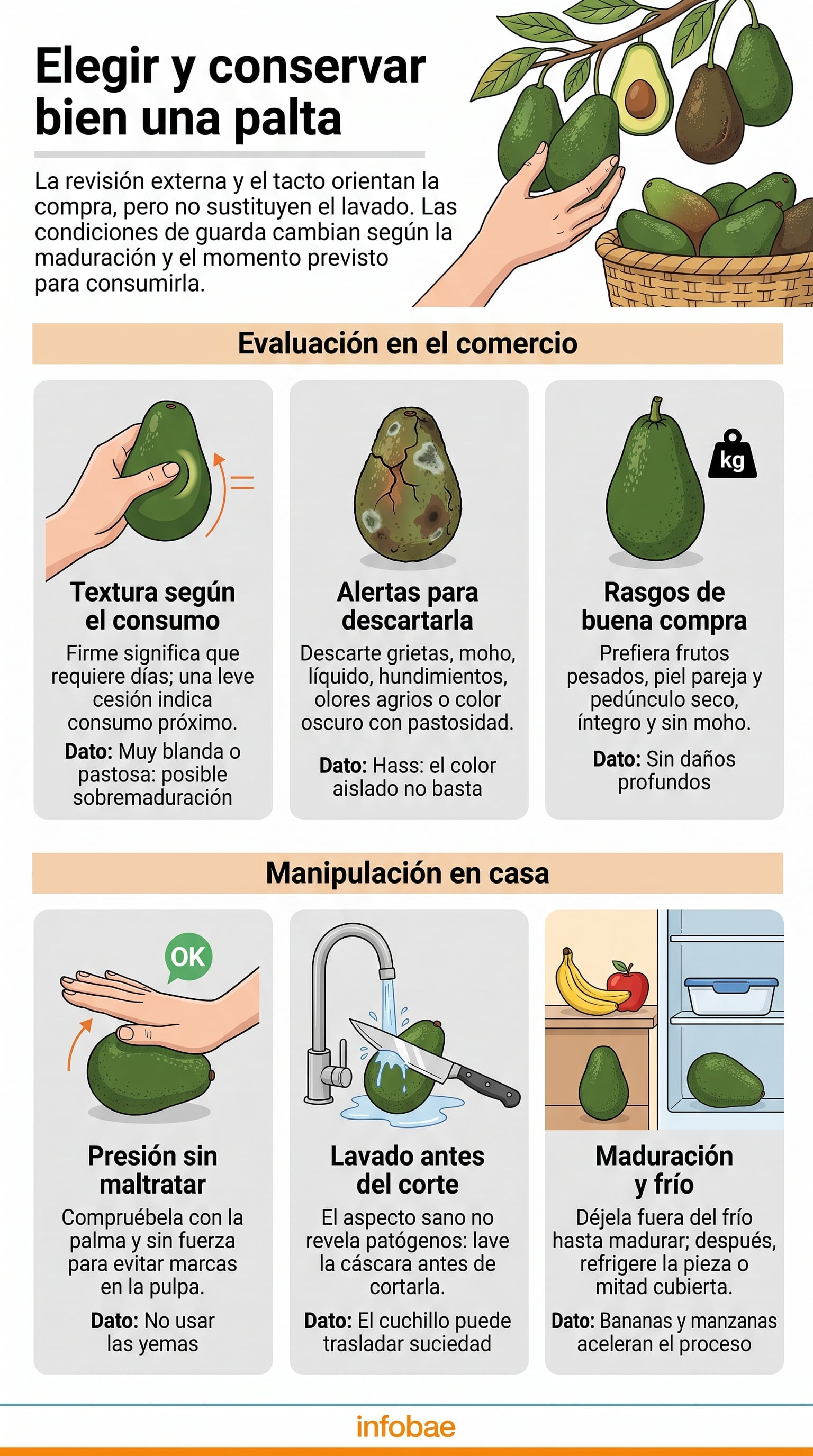 Las cáscaras agrietadas, húmedas o con golpes pueden anticipar daños en la pulpa. (Imagen Ilustrativa Infobae)