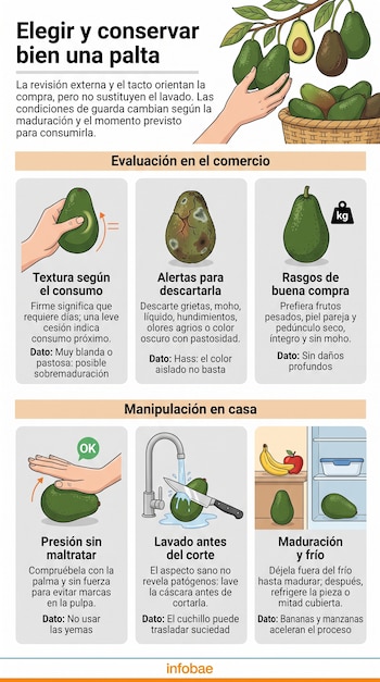 Infografía ilustrada con instrucciones compuestas por seis recuadros con dibujos de paltas, manos, un grifo de agua y una heladera.
