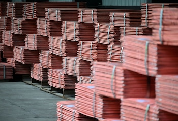 Trump ordenó al Departamento de