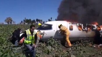 Se desplomó un avión de