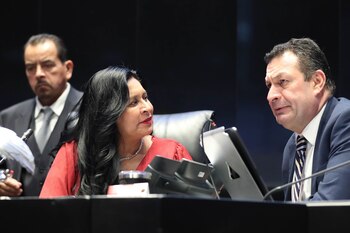 Ana Lilia Rivera puso nuevas reglas en la discusión del Senado (EFE/ Cámara De Senadores)