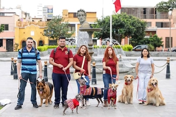 El 63,1% de los hogares señala que tiene perros principalmente por la compañía y el afecto que estos animales brindan.