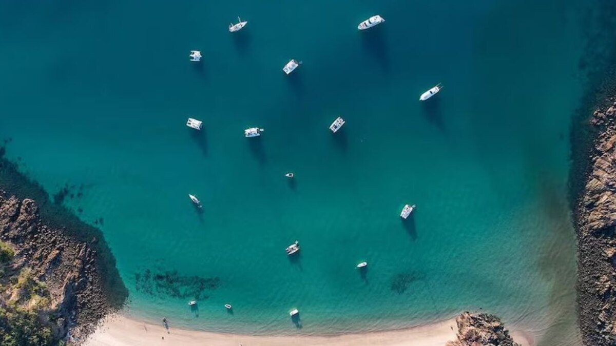 Imagen de la noticia: La particular condición que exige una remota isla australiana a cambio de alojamiento gratuito para voluntarios