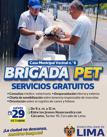 La iniciativa ofrecerá charlas de sensibilización sobre tenencia responsable, con información acerca de la alimentación, la higiene, la protección y las obligaciones de los propietarios - Créditos: Municipalidad de Lima.
