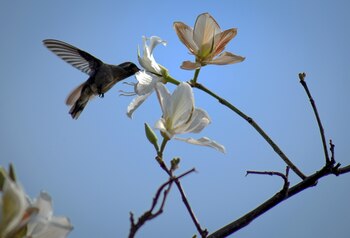 FOTO: MARGARITO PÉREZ RETANA /CUARTOSCURO