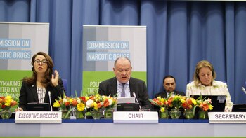 Miguel Camilo Ruíz Blanco, Embajador