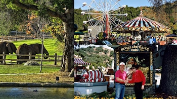 Collage de imágenes del rancho Neverland Valley Park, mostrando elefantes, una noria, un carrusel, una estatua del Gato de Cheshire y a Michael Jackson con un visitante