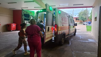 Salvaje ataque en Misiones: siete perros mordieron a un niño dentro de su casa y terminó con múltiples heridas