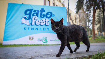Efemérides – Efemérides en Perú – Qué se celebra – Perú – noticias – 8 agosto
