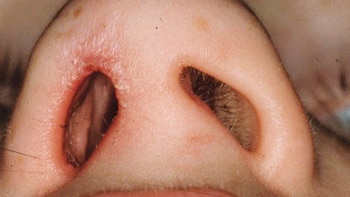 El papel duró casi un