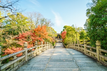 Cómo es Kioto, la ciudad de Japón, que tiene 17 monumentos históricos