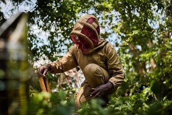 "A través de esa actividad