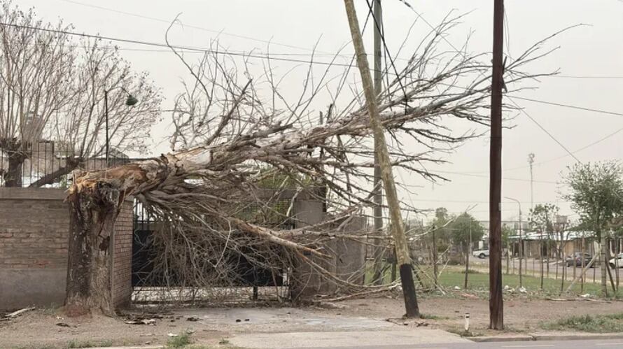 Las intensas lluvias, viento Zonda y granizo provocaron cortes de luz, suspensión de clases y destrozos (Mdz)