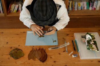 Lito encuentra en el corte