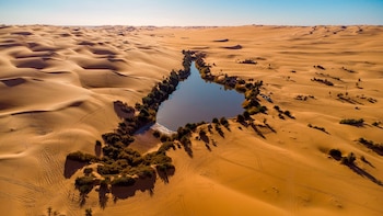 Vista desde la altura de un lago rodeado por vegetación y palmeras en medio de un desierto con dunas de arena