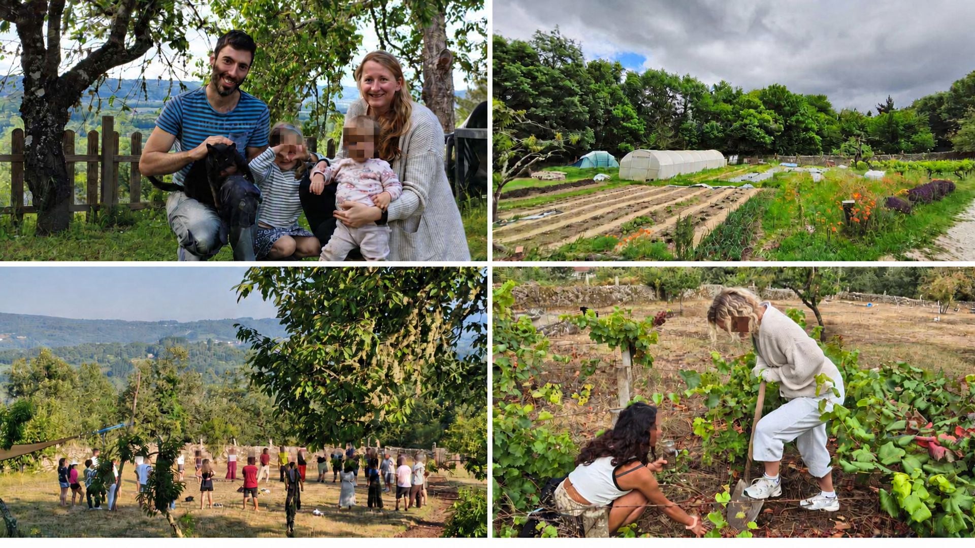 Imágenes que han compartido Alice y Alberto en la plataforma Workaway de su hogar en Galicia. (Montaje Infobae)