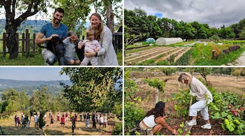 Buscan voluntarios para vivir gratis en Galicia: solo hay que cuidar una pequeña huerta y saber cocinar