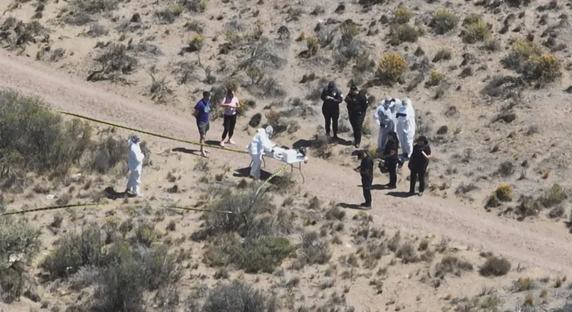 Esta mañana continuaron los rastrillajes en la zona (Gentileza: Canal 2 - Caleta Video Cable)