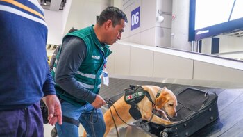 El control sanitario en el