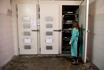 Janika Kreutzer, maquilladora y realizadora