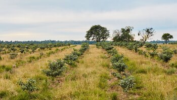 AIKE desarrolla un proyecto de