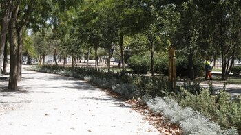 En libertad un neonazi tras