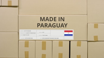 Paraguay impulsa el comercio electrónico para conectar a las Mipymes con mercados regionales