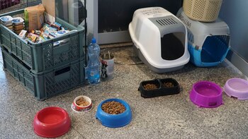 Los alimentos para mascotas en