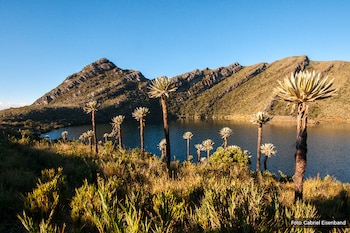 El festival incluye cuatro rutas no competitivas de 8, 16, 24 y 42 kilómetros por paisajes de páramo y bosque altoandino - crédito Parques Nacionales y Naturales de Colombia