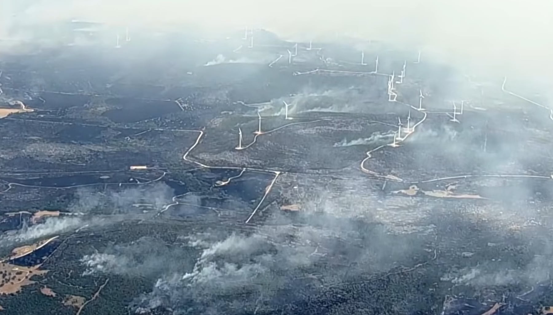 El Servicio Meteorológico Nacional catalogó al Ross Fire como el segundo incendio forestal más grande en la historia del norte de Texas (WFAA)