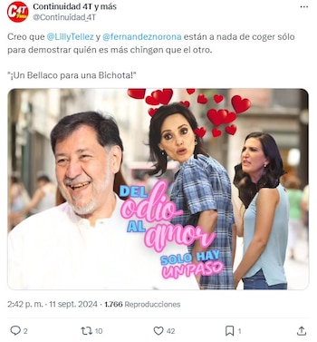 Memes de Lilly Tellez y