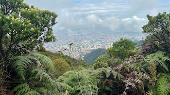 Este caso, que generó gran